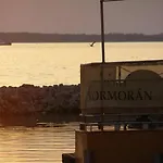 Kormorán
