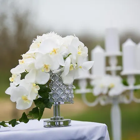 Ξενοδοχείο Kormoran 4*