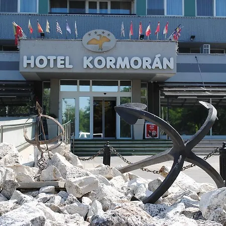 Kormoran