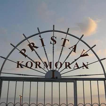 Kormoran Samorin