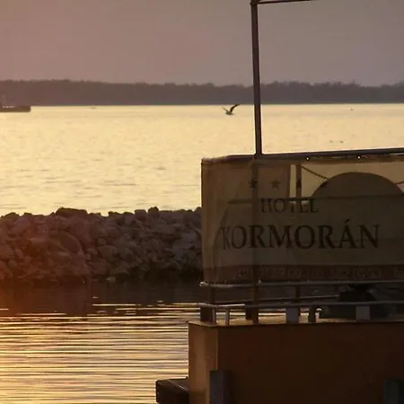 Kormoran