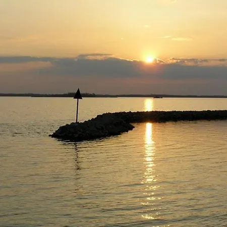 Kormoran Samorin